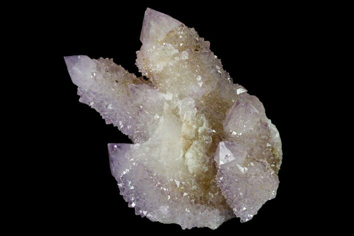 Cactus Quartz (Amethyst) Crystal Cluster - South Africa #137806